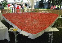 Großes Erdbeerfest in Martell