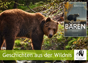 Geschichten aus der Wildnis