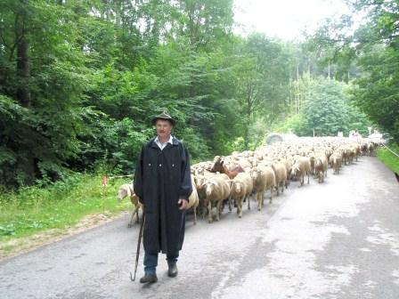 Altmühltaler Lammerlebnistage