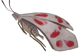 Werkstatt der Schmetterlinge Werkstatt der Schmetterlinge