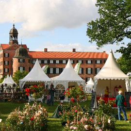 Werkstatt der Schmetterlinge