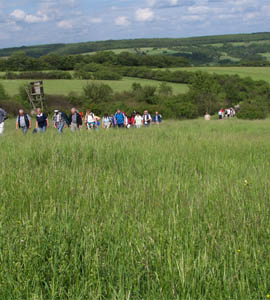 Im Zeichen der Muschel Im Zeichen der Muschel