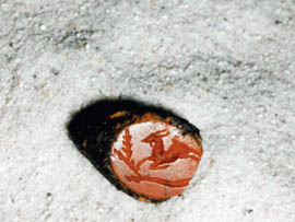 Farbe und Farbigkeit