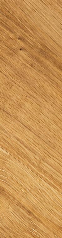 Lignum/Holz: Rohstoff – Werkstoff – Baustoff – Brennstoff Lignum/Holz: Rohstoff – Werkstoff – Baustoff – Brennstoff