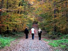 Sporthaus Innenstadt Sporthaus Innenstadt