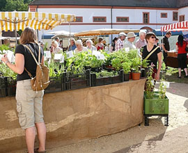 10. Kräuterfest im Kloster St. Marienthal