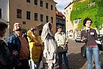 Öffentliche Altstadtführung in Pirna 2023