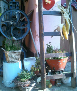 Sommerfest in Damgarten