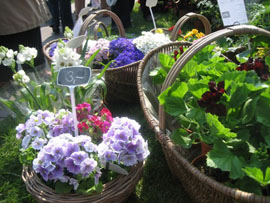 Gartenlust Schloss Dyck