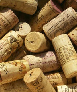 Templiner Weinfest 2022 Templiner Weinfest 2022